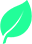 My Image